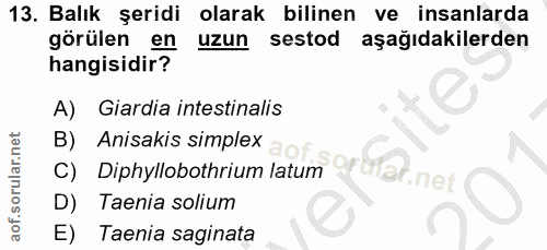 13. soru: Balık şeridi olarak bilinen ve insanlarda görülen en uzun sestod aşağıdakilerden hangisidir? A)Glardia intestinalis B…