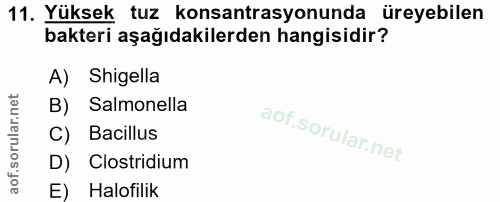 11. soru: Yüksek tuz konsantrasyonunda üreyebilen bakteri aşağıdakilerden hangisidir? A) Shigella B) Salmonella C) Bacillus D)…