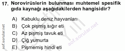 17. soru: Norovirüslerin bulunması muhtemel spesifik gıda kaynağı aşağıdakilerden hangisidir? A) Kabuklu deniz hayvanları B) Ço…