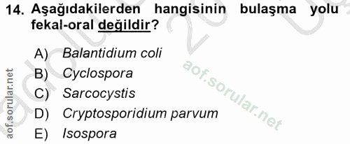 14. soru: Aşağıdakilerden hangisinin bulaşma yolu fekal-oral değildir? A) Balantidium coli B) Cyclospora C) Sarcocystis D) Cryp…