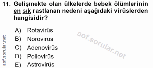 11. soru: Gelişmekte olan ülkelerde bebek ölümlerinin en sık rastlanan nedeni aşağıdaki virüslerden hangisidir? A) Rotavirüs B)…
