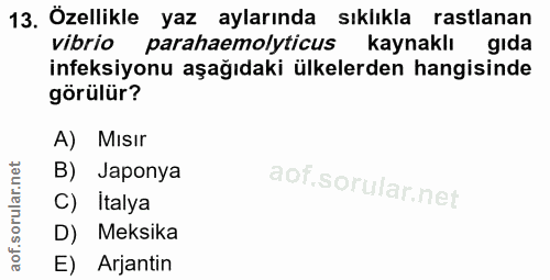 13. soru: Özellikle yaz aylarında sıklıkla rastlanan vibrio parahaemolyticus kaynaklı gıda ineksiyonu aşağıdaki ülkelerden hang…