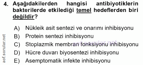 4. soru: Aşağıdakilerden hangisi antibiyotiklerin bakterilerde etkilediği temel hedeflerden biri değildir? A) Nükleik asit sen…