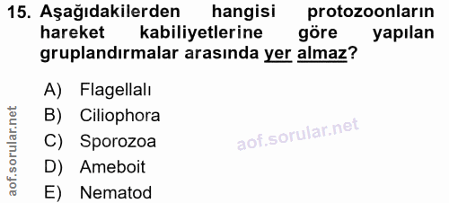 15. soru: Aşağıdakilerden hangisi protozoonların hareket kabiliyetlerine göre yapılan gruplandırmalar arasında yer almaz? A) Fl…