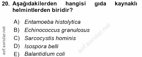 20. soru: Aşağıdakilerden hangisi gıda kaynaklı helmintlerden biridir? A) Entamoeba histolytica B) Echinococcus granulosus C) S…