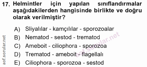 17. soru: Helmintler için yapılan sınıflandırmalar aşağıdakilerden hangisinde birlikte ve doğru olarak verilmiştir? A) Sliyalıl…