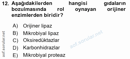 12. soru: Aşağıdakilerden hangisi gıdaların bozulmasında rol oynayan orijiner enzimlerden biridir? A) Orijiner lipaz B) Mikrobi…
