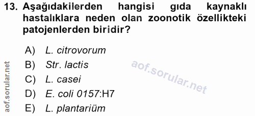 13. soru: Aşağıdakilerden hangisi gida kaynaklı hastalıklara neden olan zoonotik özellikteki patojenlerden biridir? A) L. citro…