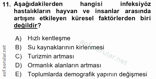 11. soru: Aşağıdakilerden hangisi infeksiyöz hastalıkların hayvan ve insanlar arasında artışını etkileyen küresel faktörlerden…