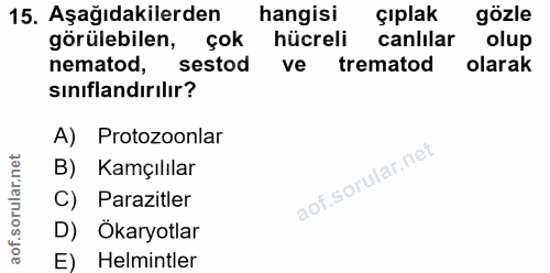 15. soru: Aşağıdakilerden hangisi çıplak gözle görülebilen, çok hücreli canlılar olup nematod, sestod ve trematod olarak sınıfl…