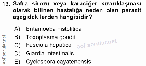 13. soru: Safra sirozu veya karaciğer kızarıklaşması olarak bilinen hastalığa neden olan parazit aşağıdakilerden hangisidir? A)…
