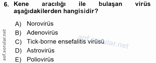 6. soru: Kene aracılığı ile bulaşan virüs aşağıdakilerden hangisidir? A) Norovirüs B) Adenovirüs c) Tick-borne ensefalitis vir…