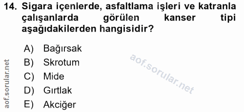 14. soru: Sigara içenlerde, asfaltlama işleri ve katranla çalışanlarda görülen kanser tipi aşağıdakilerden hangisidir? A) Bağır…