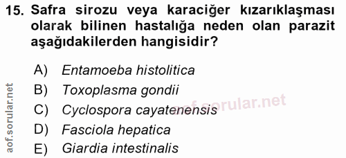 15. soru: Safra sirozu veya karaciğer kızarıklaşması olarak bilinen hastalığa neden olan parazit aşağıdakilerden hangisidir? A)…