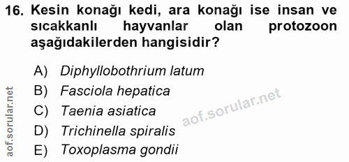 16. soru: Kesin konağı kedi, ara konağı ise insan ve sıcakkanlı hayvanlar olan protozoon aşağıdakilerden hangisidir? A) Diphyll…