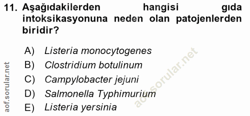 11. soru: Aşağıdakilerden hangisi gıda intoksikasyonuna neden olan patojenlerden biridir? A) Listeria monocytogenes ular.net B)…
