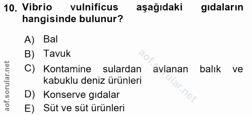 10. soru: Vibrio vulnificus aşağıdaki gıdaların hangisinde bulunur? A) Bal B) Tavuk C) Kontamine sulardan avlanan balık ve kabu…