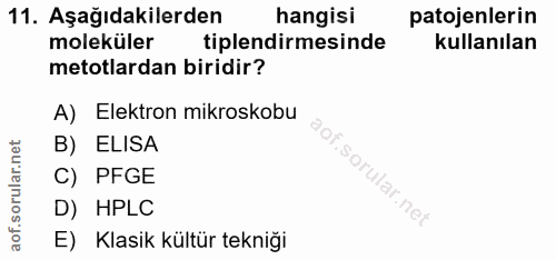 11. soru: Aşağıdakilerden hangisi patojenlerin moleküler tiplendirmesinde kullanılan metotlardan biridir? A) Elektron mikroskob…
