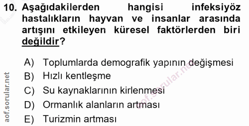 10. soru: Aşağıdakilerden hangisi infeksiyöz hastalıkların hayvan ve insanlar arasında artışını etkileyen küresel faktörlerden…