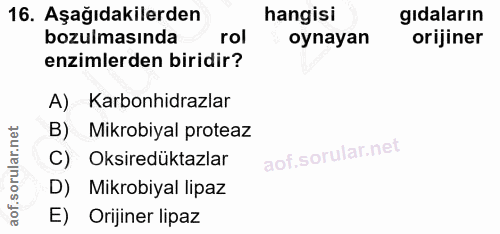 16. soru: Aşağıdakilerden hangisi gıdaların bozulmasında rol oynayan orijiner enzimlerden biridir? A) Karbonhidrazlar B) Mikrob…