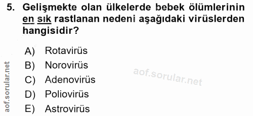 5. soru: Gelişmekte olan ülkelerde bebek ölümlerinin en sık rastlanan nedeni aşağıdaki virüslerden hangisidir? A) Rotavirüs B)…
