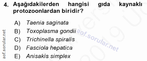 4. soru: Aşağıdakilerden hangisi gıda kaynaklı protozoonlardan biridir? A) Taenia saginata B) Toxoplasma gondiidof sorular net…