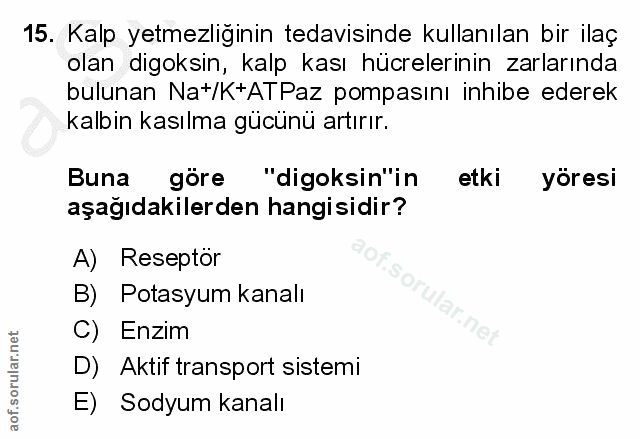 15. soru: Kalp yetmezliğinin tedavisinde kullanılan bir ilaç olan digoksin, kalp kası hücrelerinin zarlarında bulunan Nat/K+ATP…