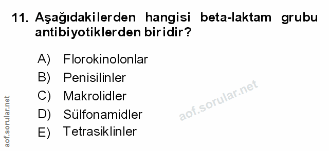 11. soru: Aşağıdakilerden hangisi beta-laktam grubu antibiyotiklerden biridir? A) Florokinolonlar B) Penisilinler C) Makrolidle…