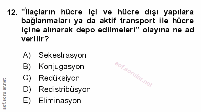 12. soru: "Ilaçların hücre içi ve hücre dışı yapılara bağlanmaları ya da aktif transport ile hücre içine alınarak depo edilmele…