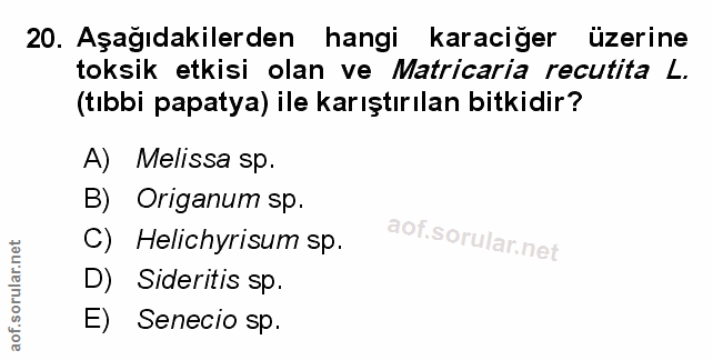 20. soru: Aşağıdakilerden hangi karaciğer üzerine toksik etkisi olan ve Matricaria recutita L. (tıbbi papatya) ile karıştırılan…