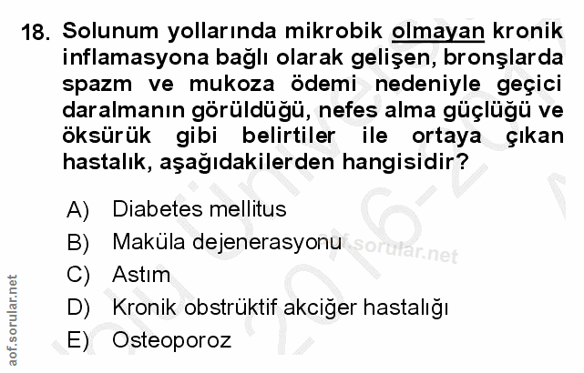 18. soru: Solunum yollarında mikrobik olmayan kronik inflamasyona bağlı olarak gelişen, bronşlarda spazm ve mukoza ödemi nedeni…