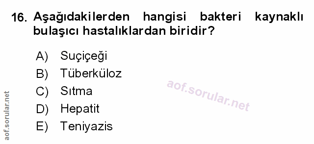 16. soru: Aşağıdakilerden hangisi bakteri kaynaklı bulaşıcı hastalıklardan biridir? Suçiçeğı B) Tüberkuloz C) Sitma D) Hepatit…