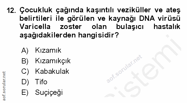 12. soru: Çocukluk çağında kaşıntılı veziküller ve ateş belirtileri ile görülen ve kaynağı DNA virüsü Varicella Varicella zoste…