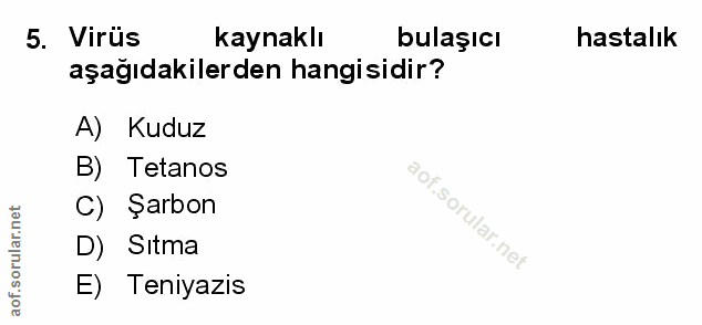 5. soru: Virüs kaynaklı bulaşıcı hastalık aşağıdakilerden hangisidir? A) Kuduz B) Tetanos C) Şarbon D) Sitma E) Teniyazis