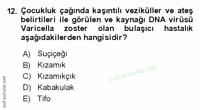 12. soru: Çocukluk çağında kaşıntılı veziküller ve ateş belirtileri ile görülen ve kaynağı DNA virüsü Varicella zoster olan bul…