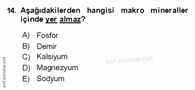 14. soru: Aşağıdakilerden hangisi makro mineraller içinde yer almaz? A) Fosfor B) Demir C) Kalsiyum D) Magnezyum E) Sodyum