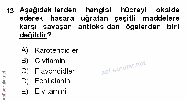 13. soru: Aşağıdakilerden hangisi hücreyi okside ederek hasara uğratan çeşitli maddelere karşı savaşan antioksidan ögelerden bi…