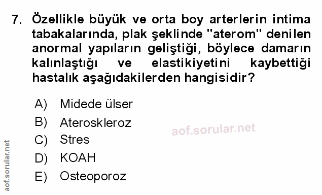 7. soru: Özellikle büyük ve orta boy arterlerin intima tabakalarında, plak şeklinde "aterom" denilen anormal yapıların gelişti…