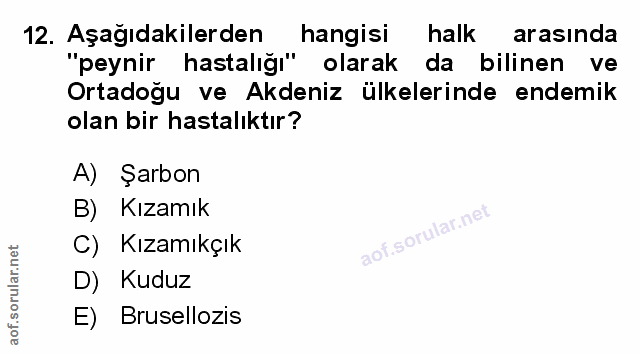 12. soru: Aşağıdakilerden hangisi halk arasında "peynir hastalığı" olarak da bilinen ve ve Ortadoğu ve Akdeniz ülkelerinde ende…