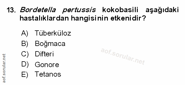 13. soru: Bordetella pertussis kokobasili aşağıdaki hastalıklardan hangisinin etkenidir? A) Tuberküloz B) Bogmaca C) Difteri D)…