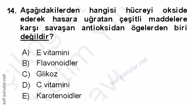 14. soru: Aşağıdakilerden hangisi hücreyi okside ederek hasara uğratan çeşitli maddelere karşı savaşan antioksidan ögelerden bi…