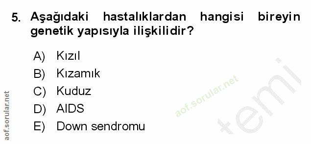 5. soru: Aşağıdaki hastalıklardan hangisi bireyin genetik yapısıyla ilişkilidir? A) Kızıl B) Kızamık C) Kuduz D) AIDS E) Down…