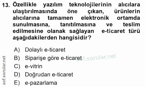 13. soru: Özellikle yazılım teknolojilerinin alicilara ulaştırılmasında öne çıkan, ürünlerin alıcılarına tamamen elektronik ort…