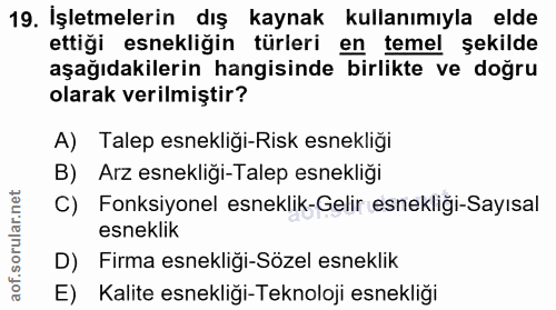 19. soru: İşletmelerin dış kaynak kullanımıyla elde ettiği esnekliğin türleri en temel şekilde aşağıdakilerin hangisinde birlik…