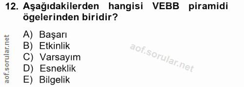 12. soru: Aşağıdakilerden hangisi VEBB piramidi ögelerinden biridir? A) Başarı B) Etkinlik C) Varsayım D) Esneklik E) Bilgelik