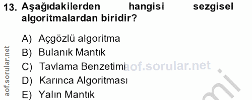 13. soru: Aşağıdakilerden hangisi sezgisel algoritmalardan biridir? A) Açgözlü algoritma B) Bulanık Mantık C) Tavlama Benzetimi…