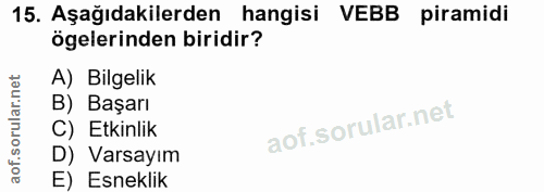 15. soru: Aşağıdakilerden hangisi VEBB piramidi ögelerinden biridir? A) Bilgelik B) Başarı C) Etkinlik D) Varsayım E) Esneklik