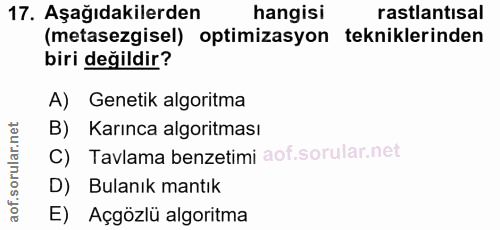 17. soru: Aşağıdakilerden hangisi rastlantısal (metasezgisel) optimizasyon tekniklerinden biri değildir? A) Genetik algoritma B…