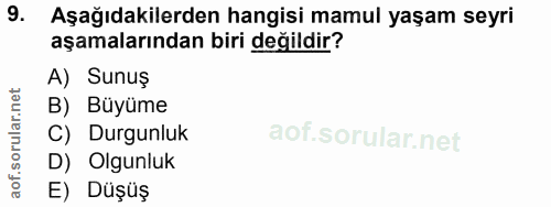 9. soru: Aşağıdakilerden hangisi mamul yaşam seyri aşamalarından biri değildir? A) Sunuş B) Büyüme C) Durgunluk D) Olgunluk E)…