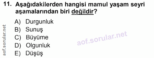 11. soru: Aşağıdakilerden hangisi mamul yaşam seyri aşamalarından biri değildir? A) Durgunluk B) Sunuş C) Büyüme D) Olgunluk E)…